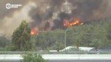 На севере Израиля бушуют лесные пожары: несколько человек задержаны по подозрению в поджогах
